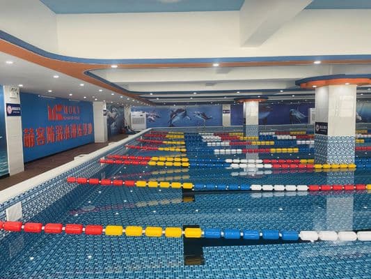 Outdoor-Recycelbares Schwimmbecken für Erwachsene Energiesparend individuell